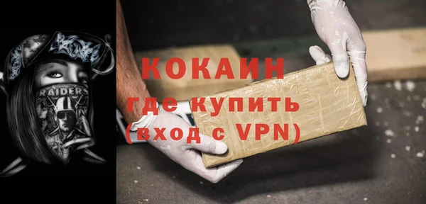 шишки Беломорск