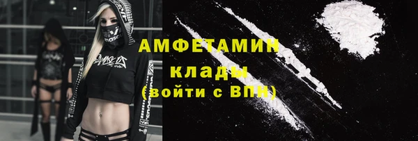 шишки Беломорск