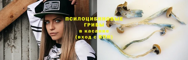 соль ск Балахна