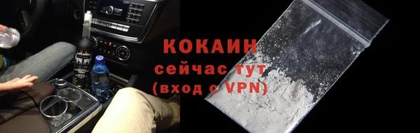 шишки Беломорск