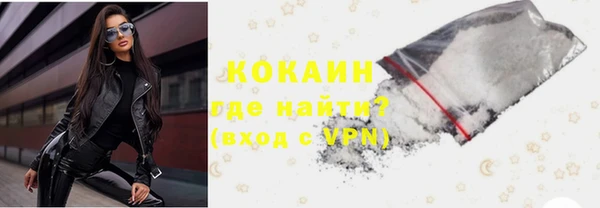шишки Беломорск