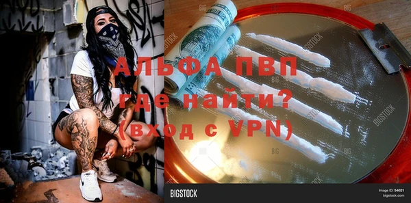 jwh Белокуриха