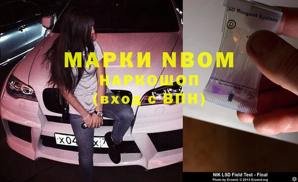 шишки Беломорск