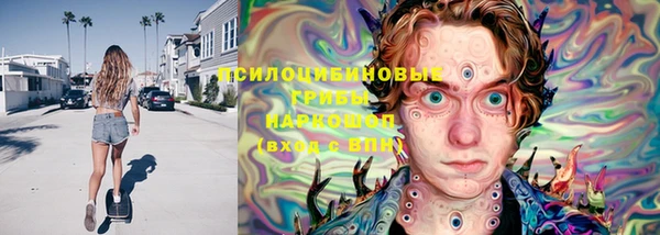jwh Белокуриха