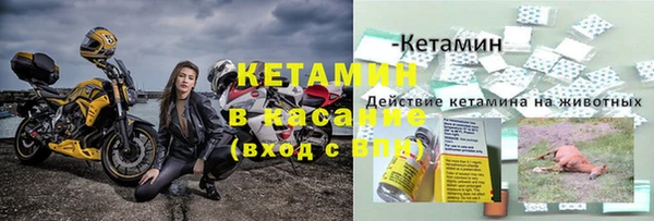 шишки Беломорск